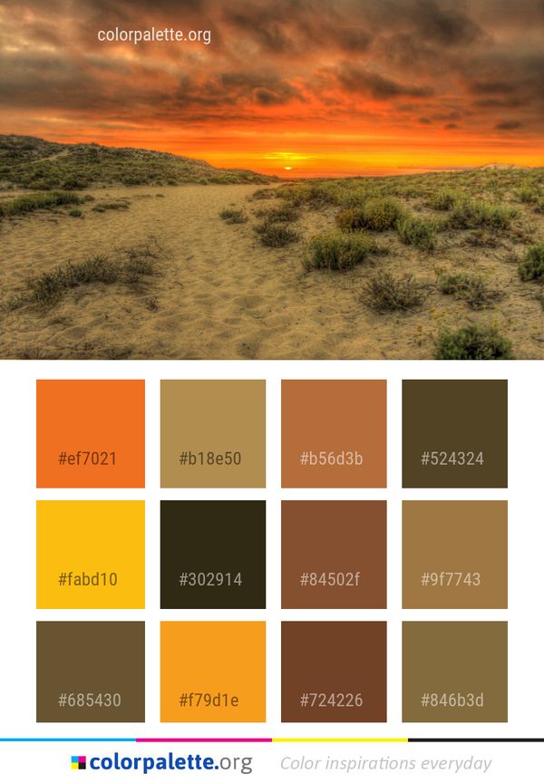 Sky Ecosystem Horizon Color Palette
