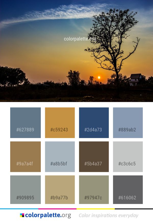 Sky Tree Woody Plant Color Palette
