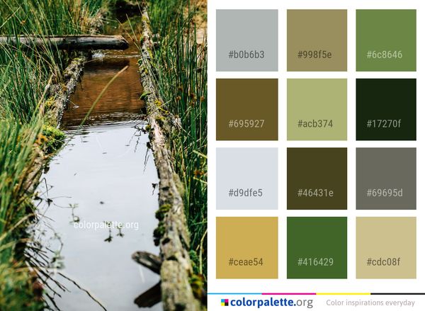Water Reflection Nature Color Palette