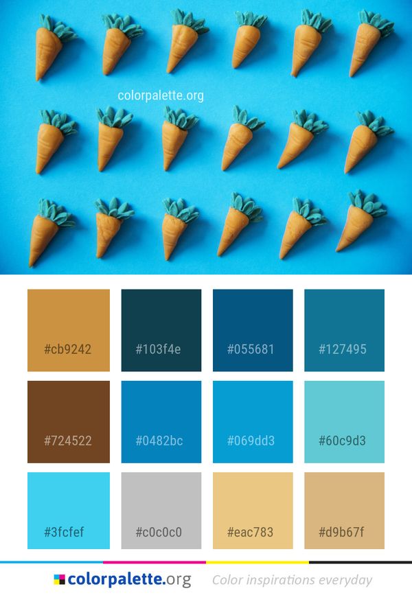 Colorful Color Palette