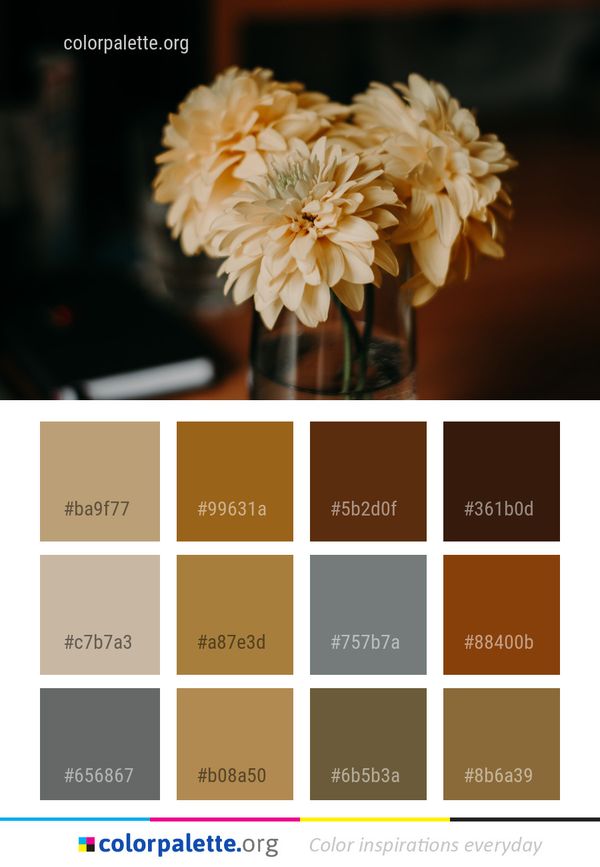 Flower Floristry Flora Color Palette