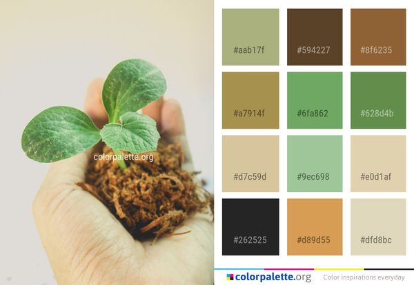 Flowerpot Color Palette