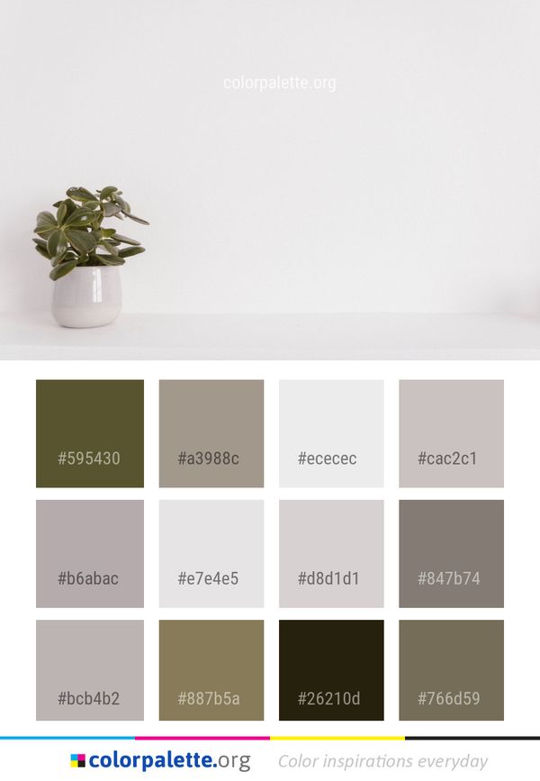 Flowerpot Vase Still Life Photography Color Palette