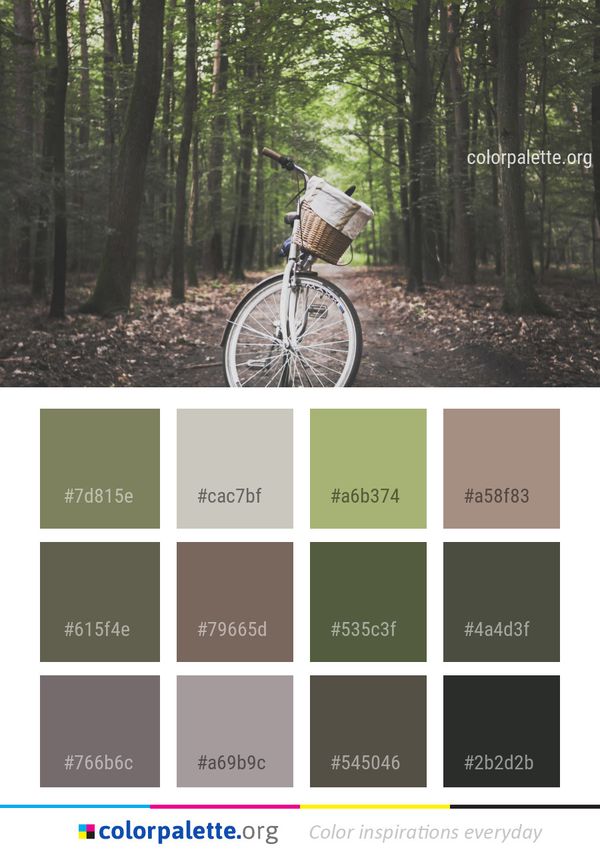 Land Vehicle Bicycle Woodland Color Palette