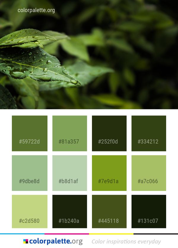 Leaf Green Vegetation Color Palette