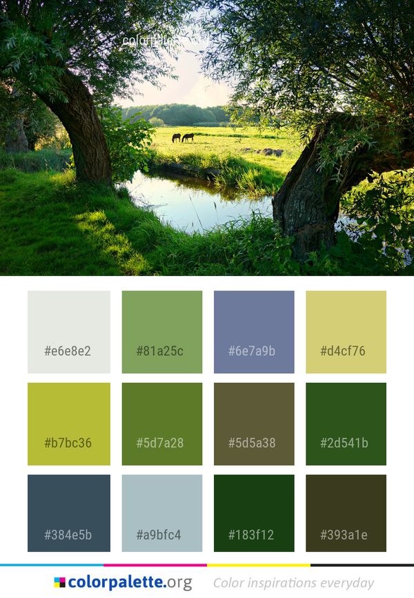 Nature Reserve Vegetation Color Palette