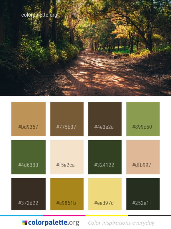Path Nature Forest Color Palette