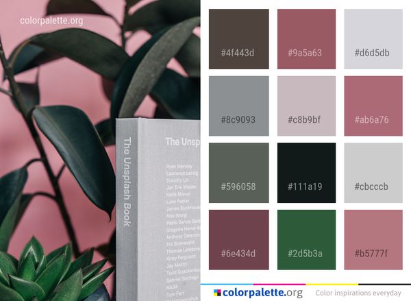 Plant Flora Leaf Color Palette