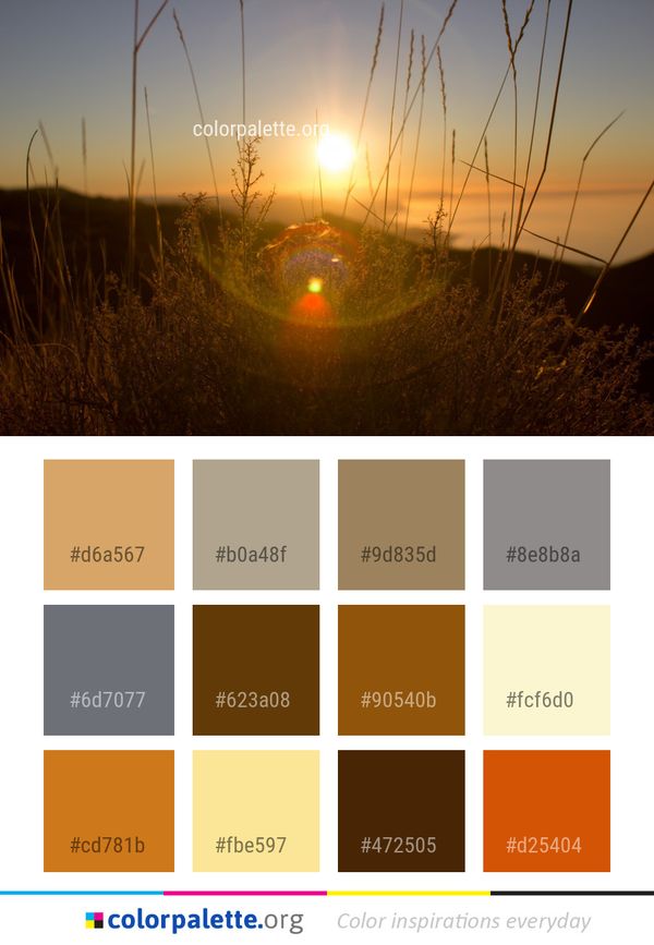 Sun Sky Sunrise Color Palette