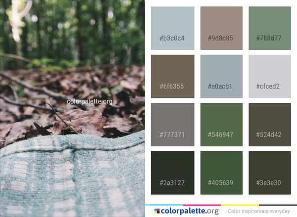 Water Leaf Tree Color Palette