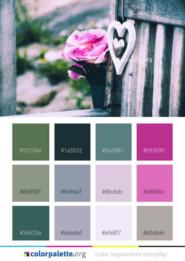 Flower Pink Photograph Color Palette