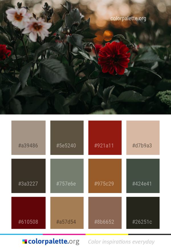 Flower Plant Flora Color Palette