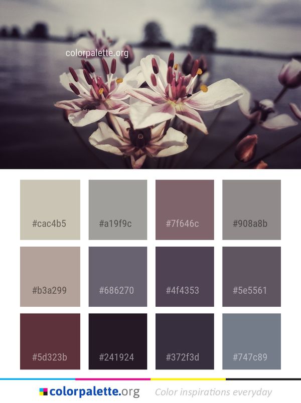 Flower Plant Pink Color Palette