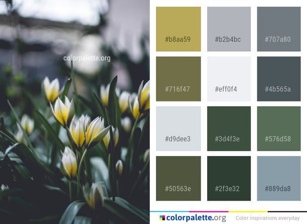 Flower Plant Yellow Color Palette