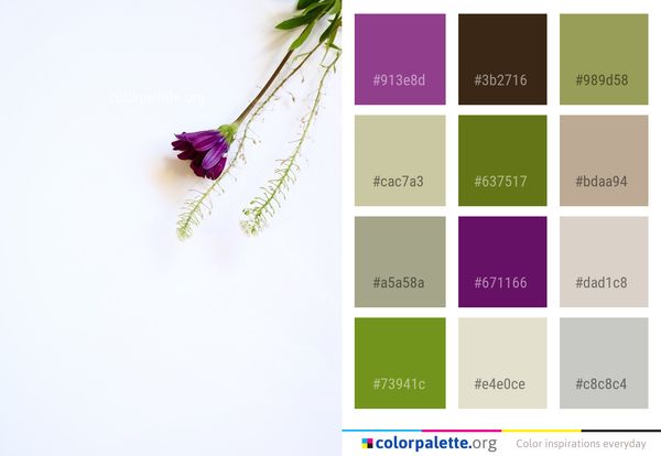 Flower Violet Purple Color Palette