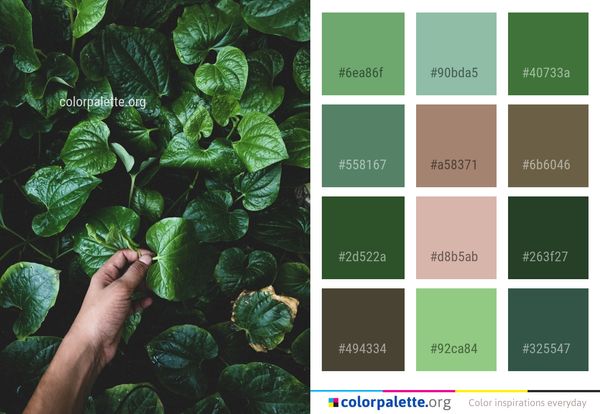 Green Leaf Plant Color Palette
