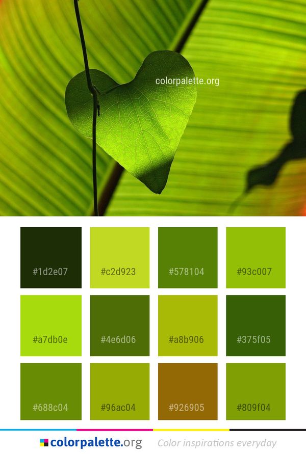 Leaf Green Macro Photography Color Palette