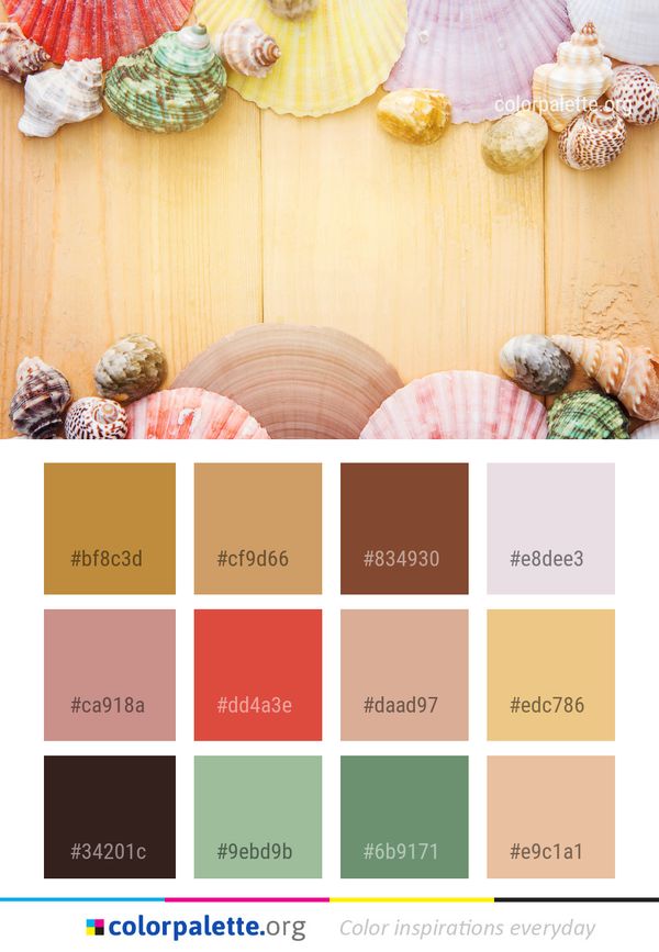 Seashell Material Color Palette