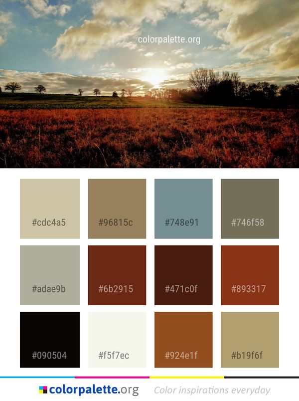 Sky Field Ecosystem Color Palette