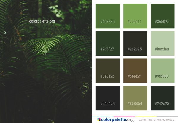 Vegetation Green Leaf Color Palette