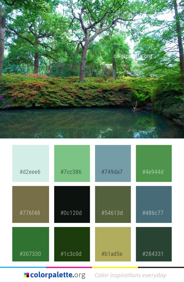 Vegetation Nature Green Color Palette
