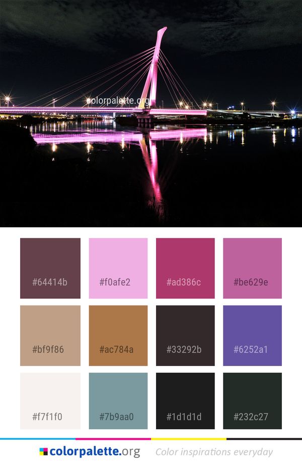 Bridge Reflection Night Color Palette