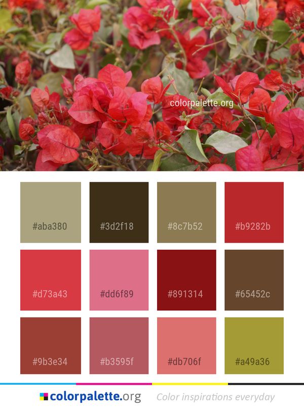 Flower Plant Red Color Palette