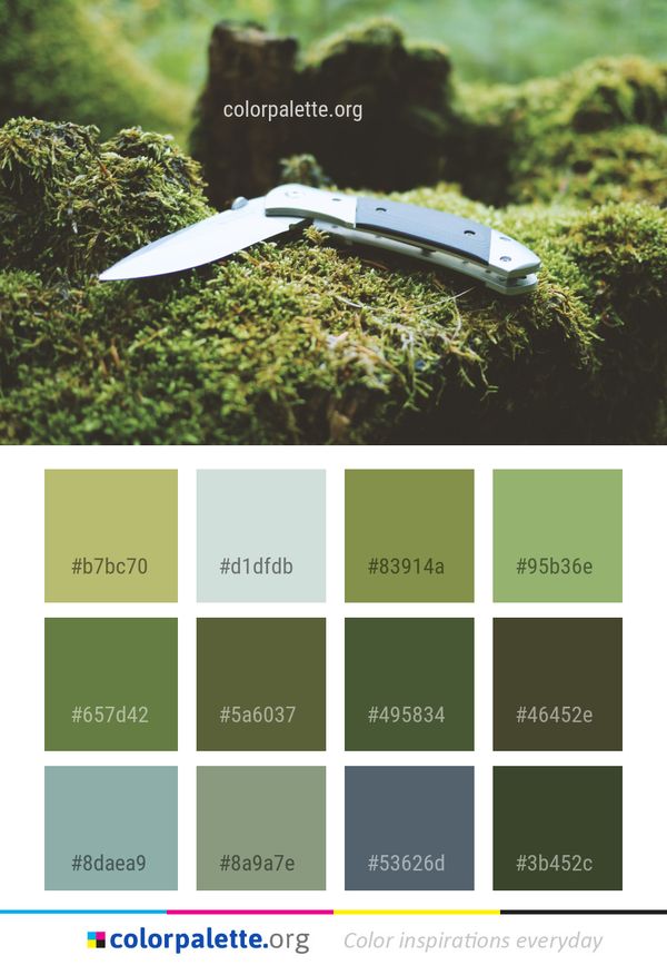Knife Grass Weapon Color Palette