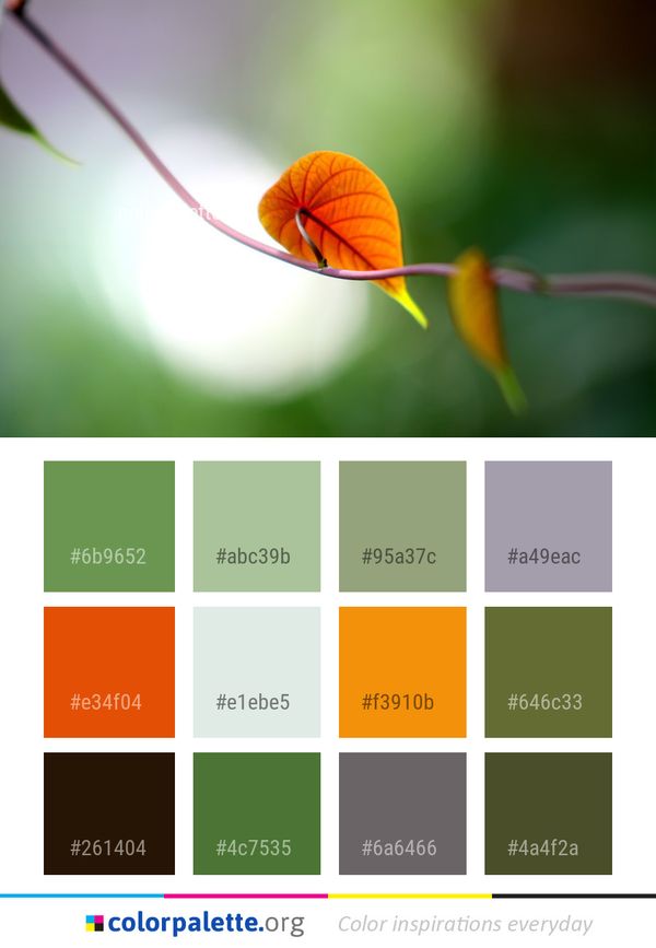 Leaf Flora Macro Photography Color Palette