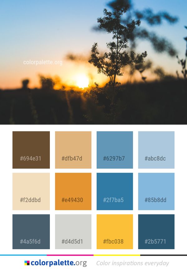 Sky Tree Sunrise Color Palette