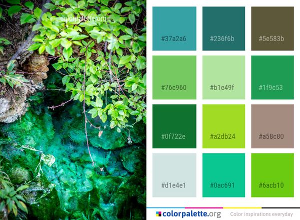 Vegetation Water Nature Color Palette