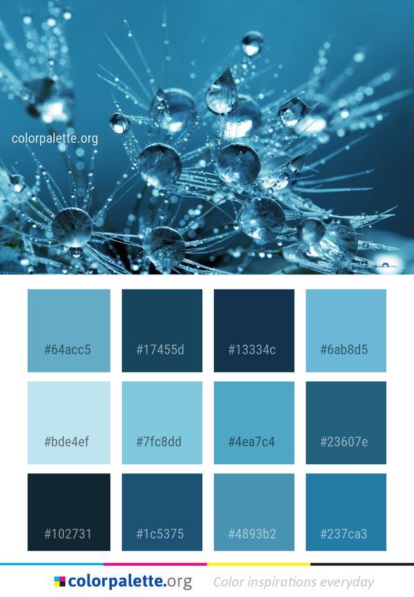 Water Blue Dew Color Palette