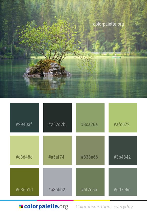 Water Reflection Nature Color Palette