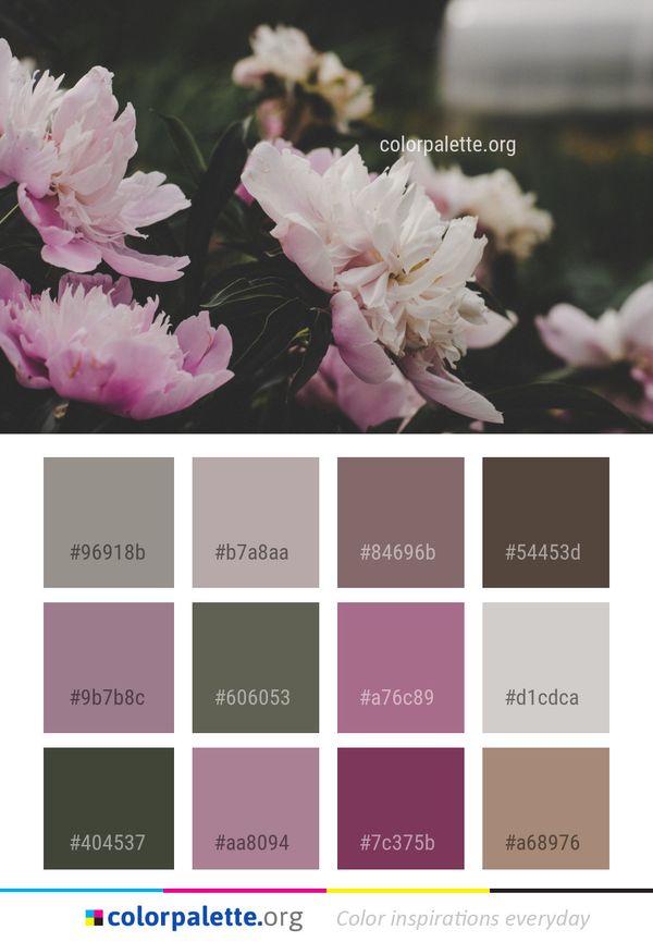Flower Plant White Color Palette
