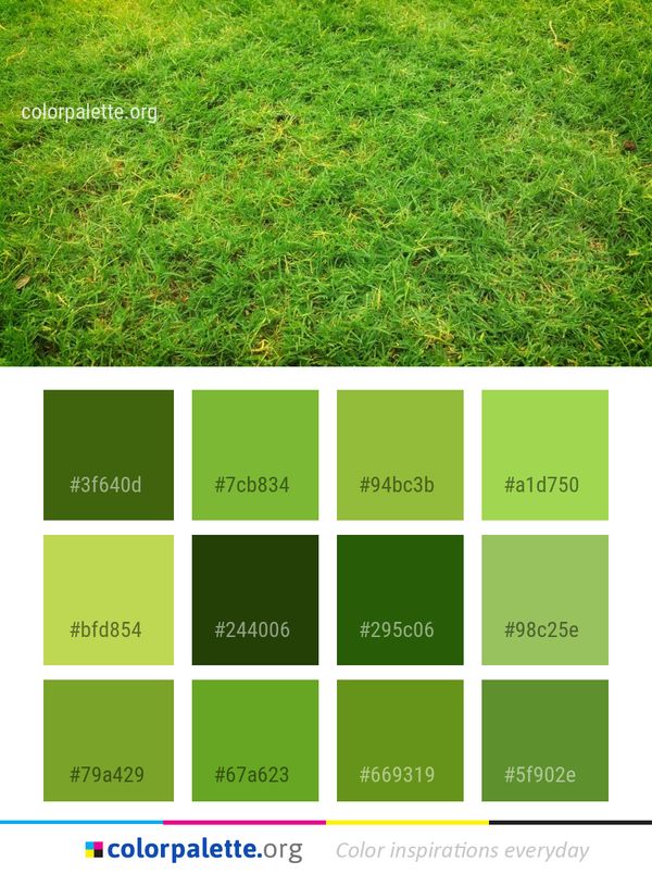 Grass Ecosystem Vegetation Color Palette