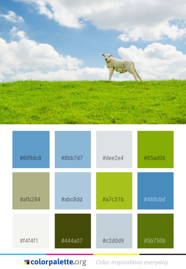 Grassland Sky Pasture Color Palette