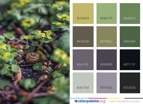 Leaf Branch Plant Color Palette