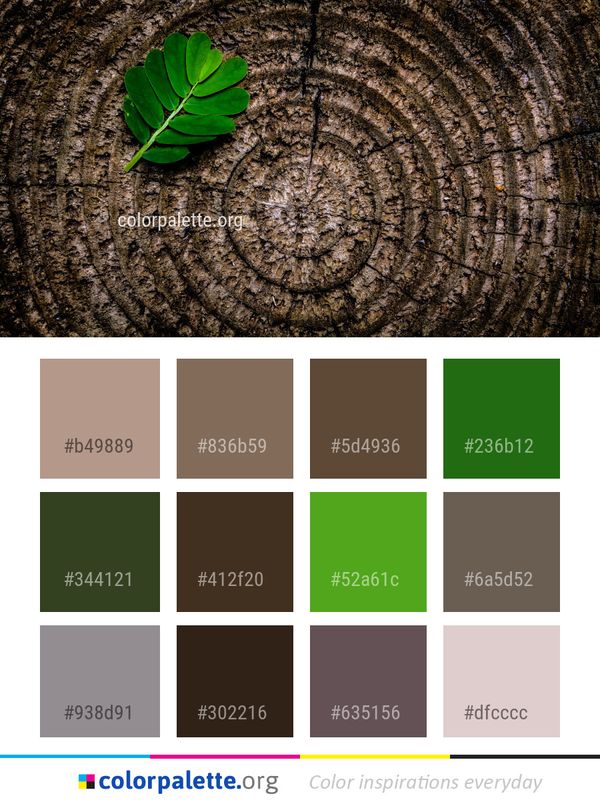 Leaf Green Plant Color Palette