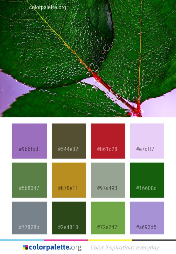 Leaf Green Water Color Palette