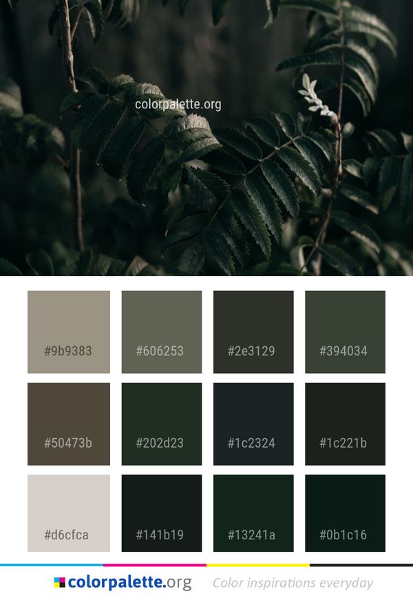 Leaf Vegetation Plant Color Palette