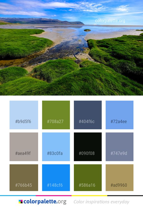 Nature Coast Vegetation Color Palette
