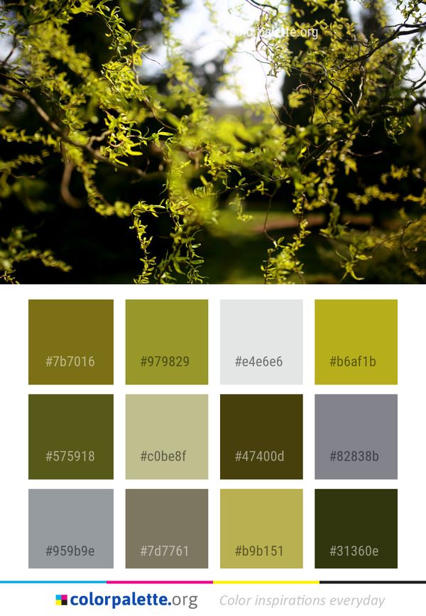 Nature Vegetation Branch Color Palette