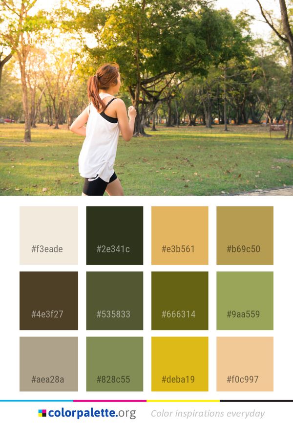 Photograph Nature Tree Color Palette