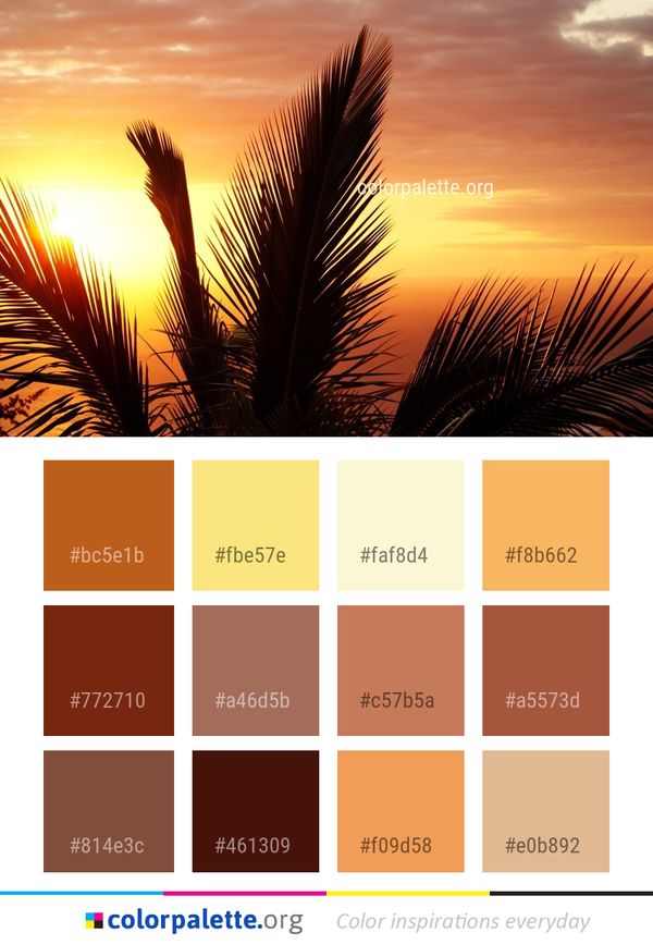 Sky Arecales Palm Tree Color Palette