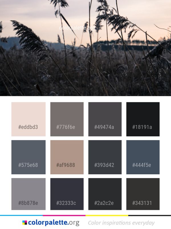 Sky Grass Family Color Palette
