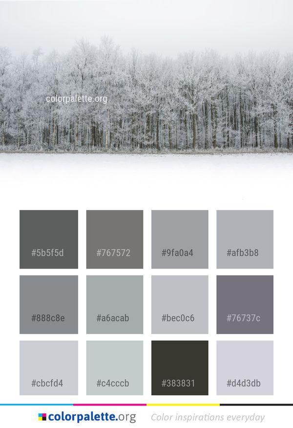 Snow Winter Frost Color Palette