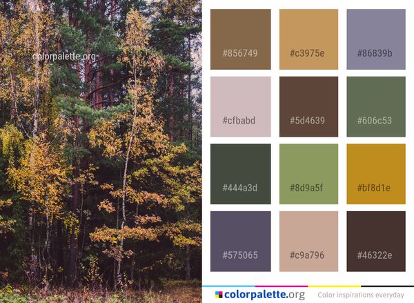 Tree Nature Ecosystem Color Palette