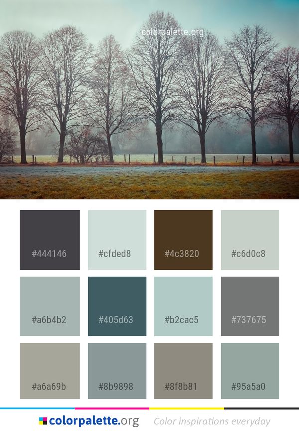 Tree Sky Winter Color Palette