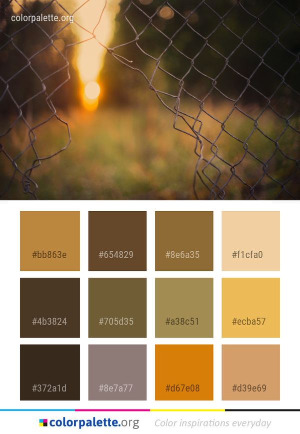 Yellow Light Sunlight Color Palette