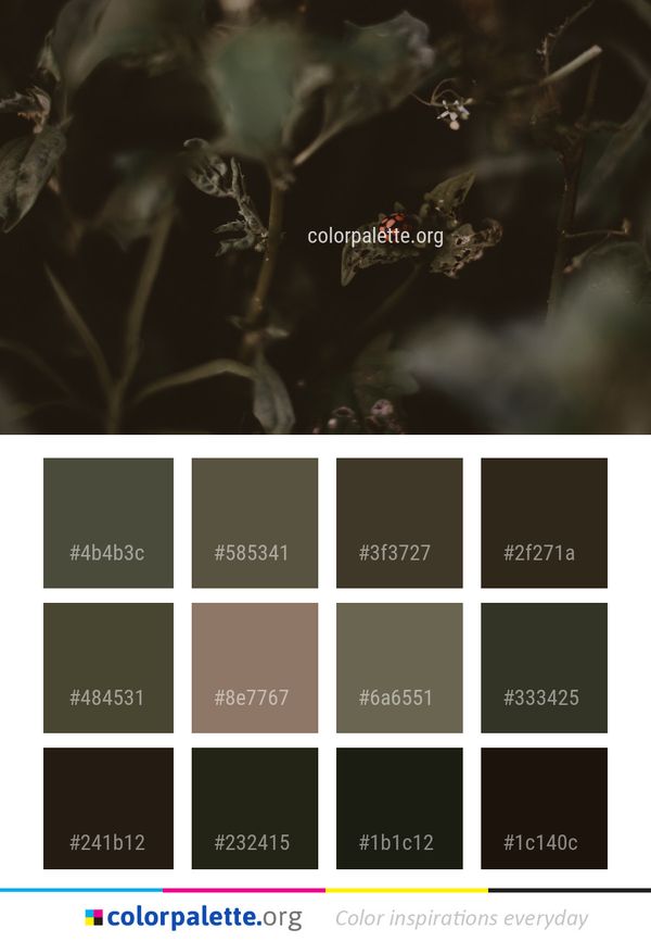 Flora Plant Leaf Color Palette